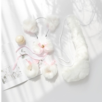 Black Fox suit sexy lingerie cat ear neckband band tail White Fox plush accessories AJ01
