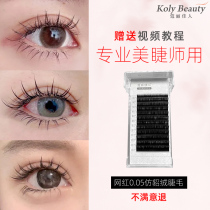 Carrie beautiful woman d super soft eyelashes natural multi manual blossom professional eyelashes