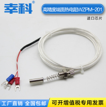 WZPM-201 End thermal resistance Pt100 thermal resistance temperature probe sensor M8*0 75 platinum resistance