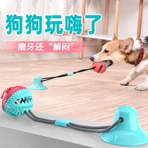 Dog toys resistant to biting molars alone large dogs suction balls sound grazing golden hair pet dog relief artifact