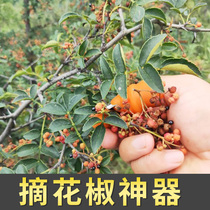 Picking Pepper artifact Cherry vegetable pinching gloves armored tea iron nail picking finger Clipper hand thumb knife