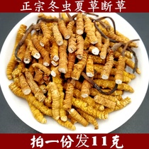 (11g)Qinghai-Tibet Cordyceps Sinensis Big Broken Grass Meat Festival Naqu Yushu Cordyceps Sinensis