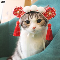 Cat headdress English short hair hoop Teddy pet headgear pet headgear funny cat accessories dog headdress