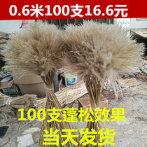 Dried flower reed flower dried flower reed dried flowers wheat ears dry flower dog tailgrass natural reed flower decoration