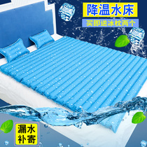 Water bed ice pad mattress Water pad pillow Cold dormitory cooling summer water mat bag bed single water mattress double