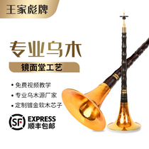 Wang Jia Biao Suona Musical Instrument Full Set of Professional Ethnic Musical Instrument Horn Beginner Professional Suona Performance Service