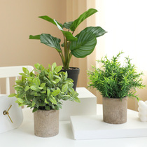 Thai ring ins Nordic simulation plant small potted fake flower home desk restaurant desktop green plant decoration