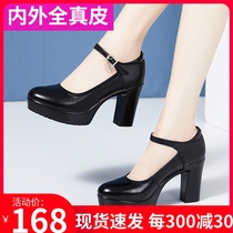 Waterproof table high heel thick heel round head leather work womens single shoes soft cowhide model training special cheongsam show shoes