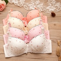 Japanese Junior High School High School students small chest underwear cute college students bra thin collection soft steel ring girl bra