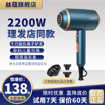 syoso silk hair dryer negative ion hair care home high power quick dry hair salon special barber shop hairdressing