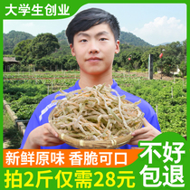 2020 fresh and new papaya shred dried 500g bulk green papaya dried shred papaya Guangxi Hengxian homemade papaya