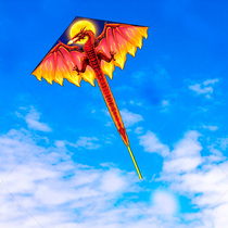 New kite 2021 new kite breeze easy to fly big kite Adult dinosaur kite kite wheel