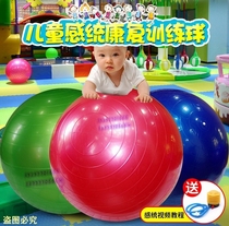 Adult super elastic ball yoga ball childrens sensory ball toy exercise color soft rubber ball number training