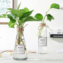 Decorative simple transparent small vase household glass hydroponic plant green flower planting vase creative living room ornaments