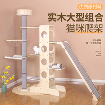 New Zealand imported solid wood cat climbing frame Cat nest Cat tree one summer Japanese-style big cat shelf vertical column
