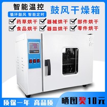Electric blast drying oven laboratory constant temperature small oven high temperature drying box industrial oven dryer 101