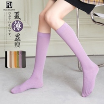 Calf socks women Summer thin cotton stockings thin color cool purple cotton non-slip Japanese college style stockings