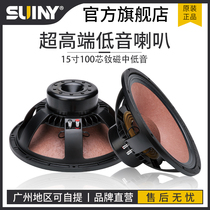 15 inch 100 core rubidium magnetic Full Frequency medium bass professional performance horn Super sound pressure KTV club high-end stage