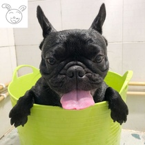  Dog wash artifact Dog bath basin Cat bathtub bath bucket Anti-run cat wash basin foldable drainage bucket Home