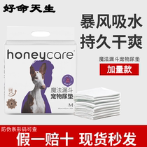 Honeycare is good to innate dog pee pad cat with thick deodor water absorbing pad pet urine is not wet