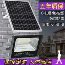 New solar lights outdoor landscape garden lights home LED lighting street lights new countryside 100W high power cast