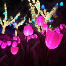 New ground Reed lamp Tulip lantern lawn lamp outdoor waterproof rose sea landscape lighting Park installation
