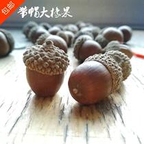 Acorn acorns ACORN ornaments fruit big ACORN with oak bowl ACORN fruit ornaments