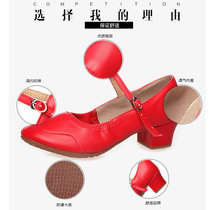 Square Dance Women's Summer Shoes Dance Shoes Gold and Silver Full Bottom Modern Women's Middle Heel Square Dance Shoes Friendship Dance