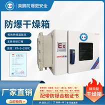 Yingpeng explosion-proof drying oven heavy industry constant temperature blast explosion-proof oven printing factory explosion-proof oven non-standard customization