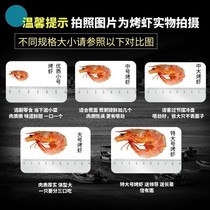 Grilled shrimp dried ready-to-eat Wenzhou specialty large dried shrimp dried seafood dried shrimp shrimp shrimp pregnant women childrens leisure snacks