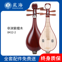 Xinghai Liuqin Musical Instrument Rosewood Willow Qin Professional Performance African Rosewood Copper Fine-tuning Liuqin 8412-2
