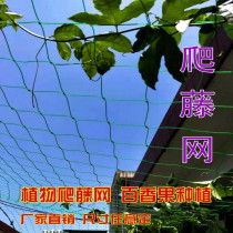 Passion fruit scaffolding net nylon line Peas climbing garden vegetables beans climbing rattan plastic household rack bitter melon