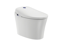 Store with Jiumu smart D7203 toilet one-key intelligent control live water drying hot toilet without water tank