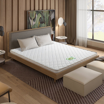 Ho Pao Natural Coconut Palm Spring Mat Main Double Bed Antibacterial Anti - Hardware Soft and Hard South China Sea Coconut Song 5C