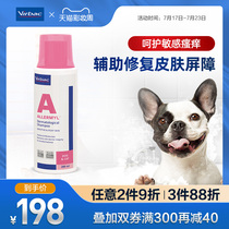 VIC Alomei shampoo Pet dog shower gel Antibacterial deodorant Long-lasting incense than bear Teddy cat universal