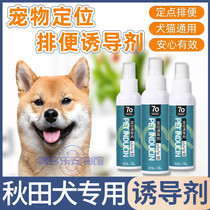 Fixed-point defecation-inducing agent for the special training toilet pet dogs for autumn and field dogs Toilet Theologie Medium Dog Training