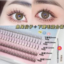 Yu Shuxin fishtail fairy upper and lower eyelashes mixed false eyelashes Natural simulation single cluster a-type self-grafting hair