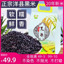 Authentic black glutinous rice five grains black rice farm grain fragrant rice black rice porridge 5 pounds