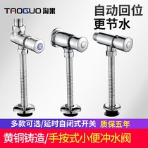 Urinal flusher press switch full copper toilet valve hand toilet flushing delay valve