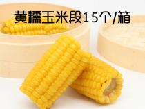  Yellow corn section fresh 15 fragrant waxy sticky corn cob grains Vacuum whole grain breakfast Northeast corn