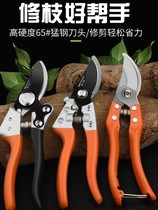 Cut Branches Scissors Repair Branches Cut Fruit Trees Rose Manual Floral Pruning Knife Flower flower Shop Orange coarse branches Cut and cut branches