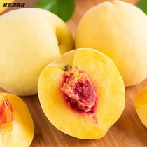 Dry yellow peach with 500g canned peach strips preserved fruit dried peach meat small package bulk snacks