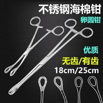  Multi-purpose toothless and toothed sponge clip thickened round clip 25cm Gynecological cotton pliers Extended straight head sponge pliers Durable