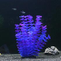 The decorations in Zhuopu fish tank are simulated aquatic plants and aquatic landscaping fake aquatic plants. Soft aquatic plants are soft aquatic plants.