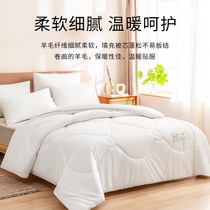 Class A wool quilt winter quilt core thickened warm cotton quilt Spring and Autumn Winter Childrens velvet single double light luxury 1214y