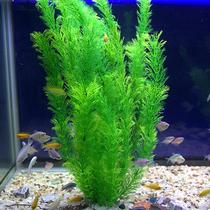 Fish tank decoration water grass landscaping simulation water grass green soft fake water grass plastic red green planting fake flowers and grass ornaments