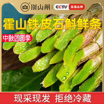Huoshan Dendrobium candidum fresh strips dried Dendrobium tea health tea Chinese medicine powder fresh Dendrobium gift box 500g
