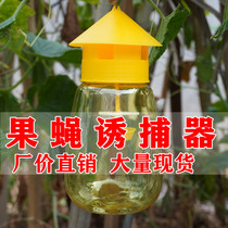 Fruit fly trap Orchard vegetable field melon fruit fly needle bee melon fly attractant contains trap attractant