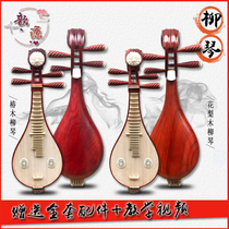 Liuqin musical instrument performance grade Liuqin double resonance box Beginner entry examination grade piano