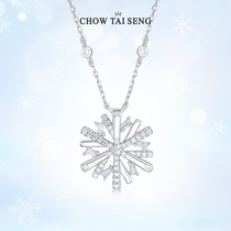 Zhou Dai Sheng snowflake necklace female sterling silver light luxury niche design choker flower neck chain silver jewelry birthday gift